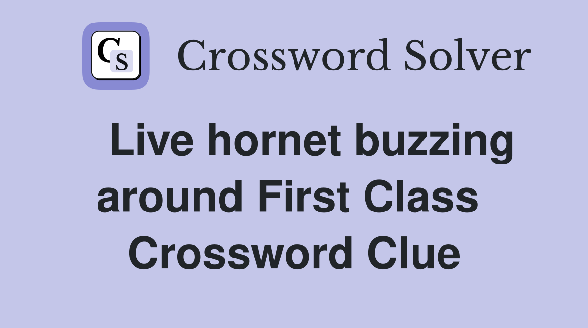  Live hornet buzzing around First Class  Crossword Clue
