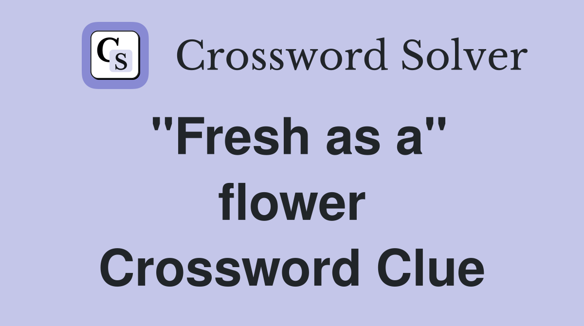 ''Fresh as a'' flower Crossword Clue