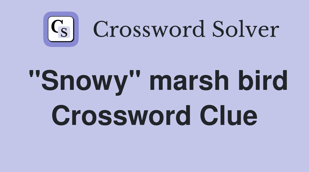 ''Snowy'' marsh bird Crossword Clue