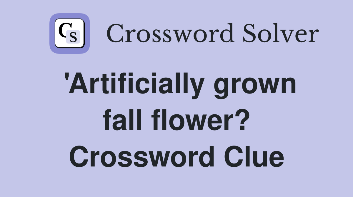 'Artificially grown fall flower? Crossword Clue