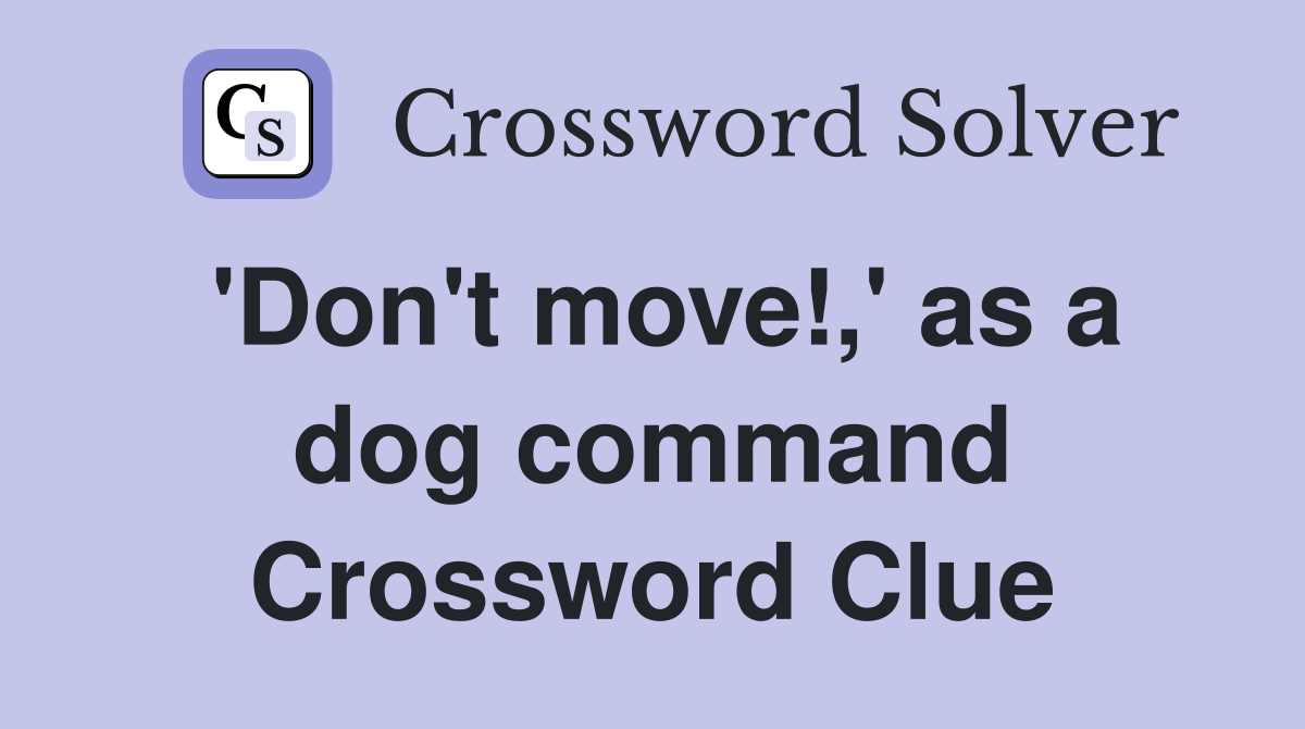 'Don't move!,' as a dog command Crossword Clue