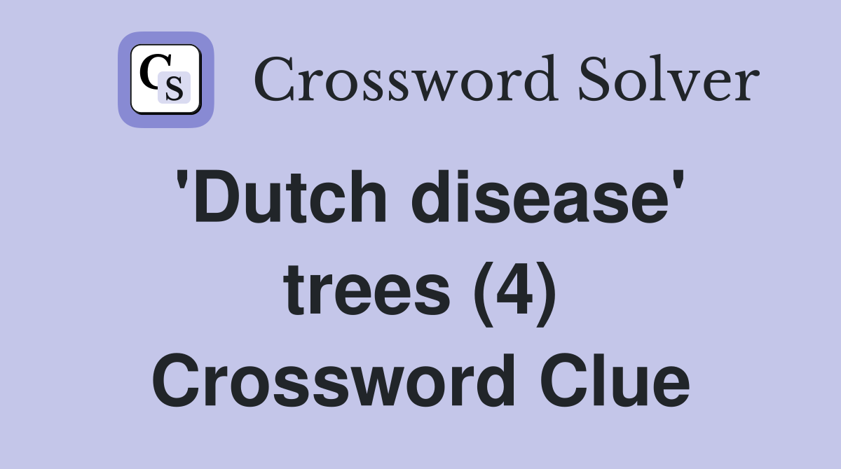 'Dutch disease' trees (4) Crossword Clue