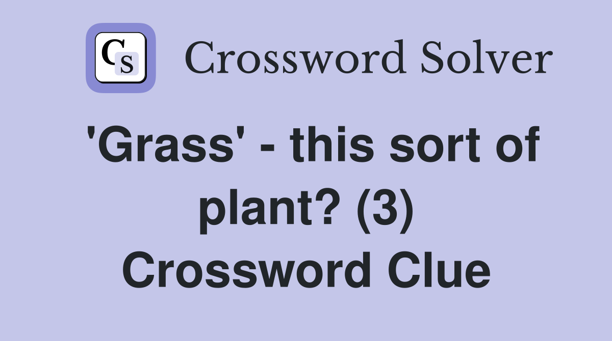'Grass' - this sort of plant? (3) Crossword Clue