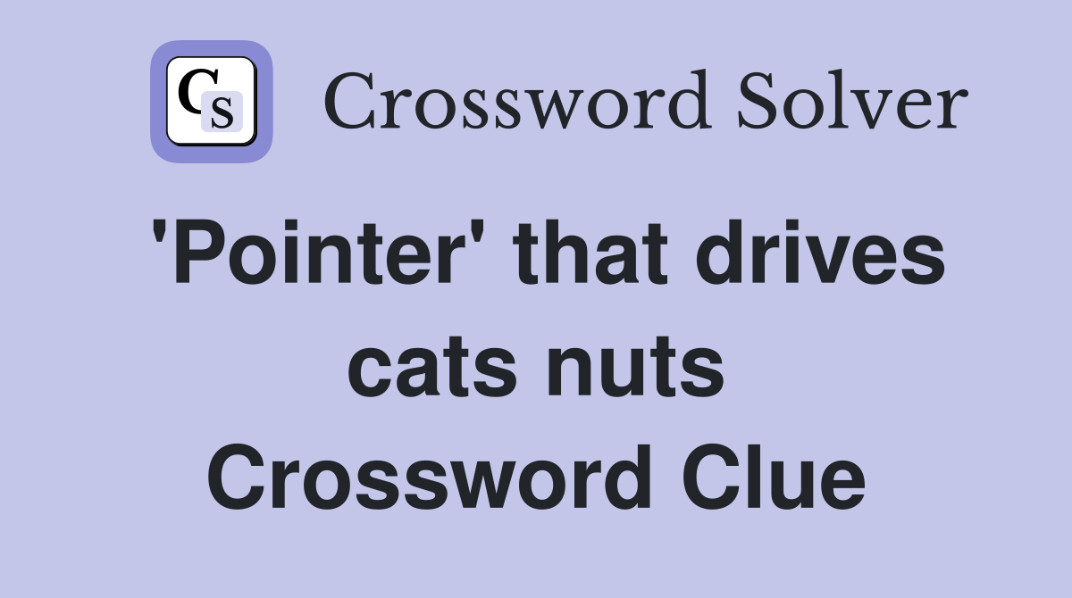 'Pointer' that drives cats nuts Crossword Clue