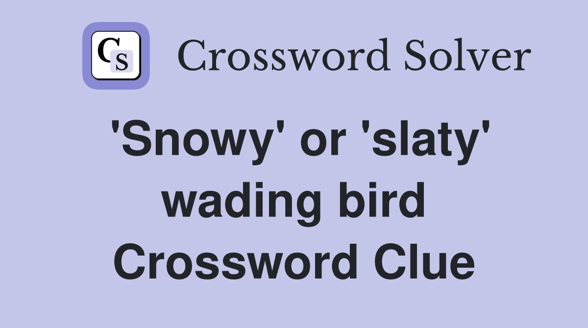 'Snowy' or 'slaty' wading bird Crossword Clue