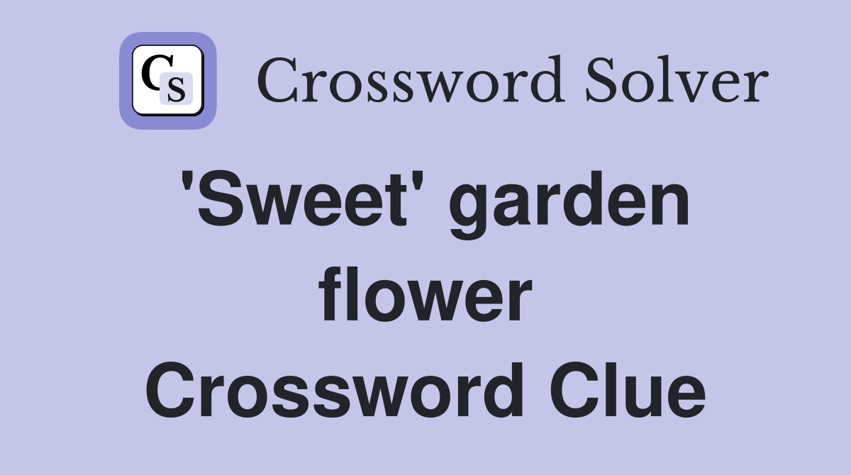 'Sweet' garden flower Crossword Clue