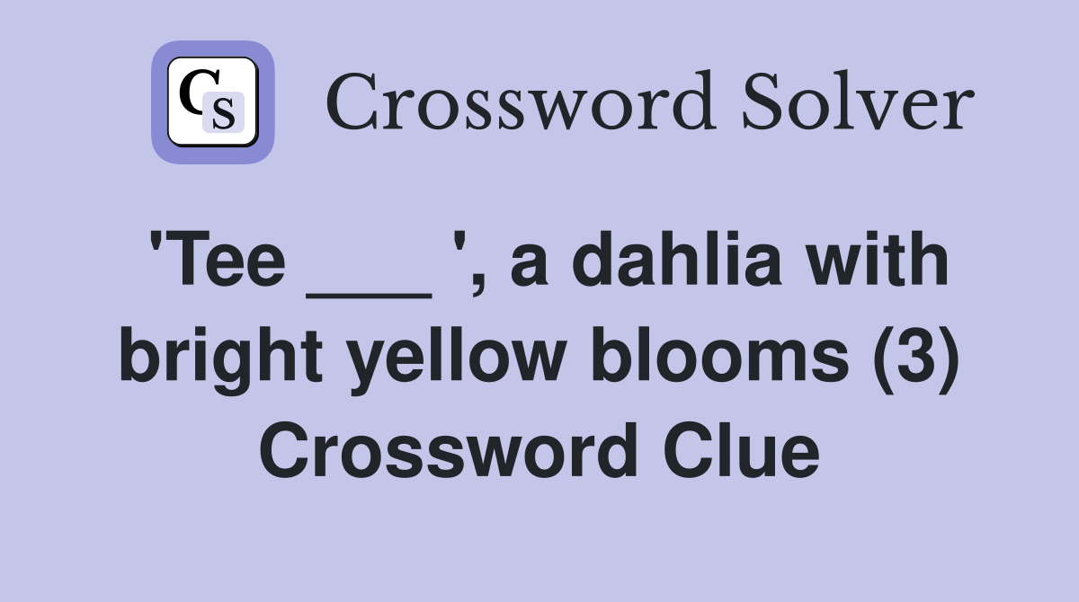 'Tee ___ ', a dahlia with bright yellow blooms (3) Crossword Clue