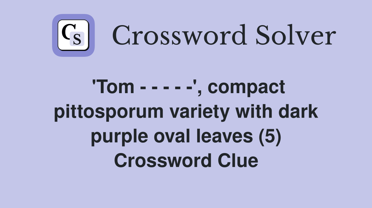 'Tom - - - - -', compact pittosporum variety with dark purple oval leaves (5) Crossword Clue