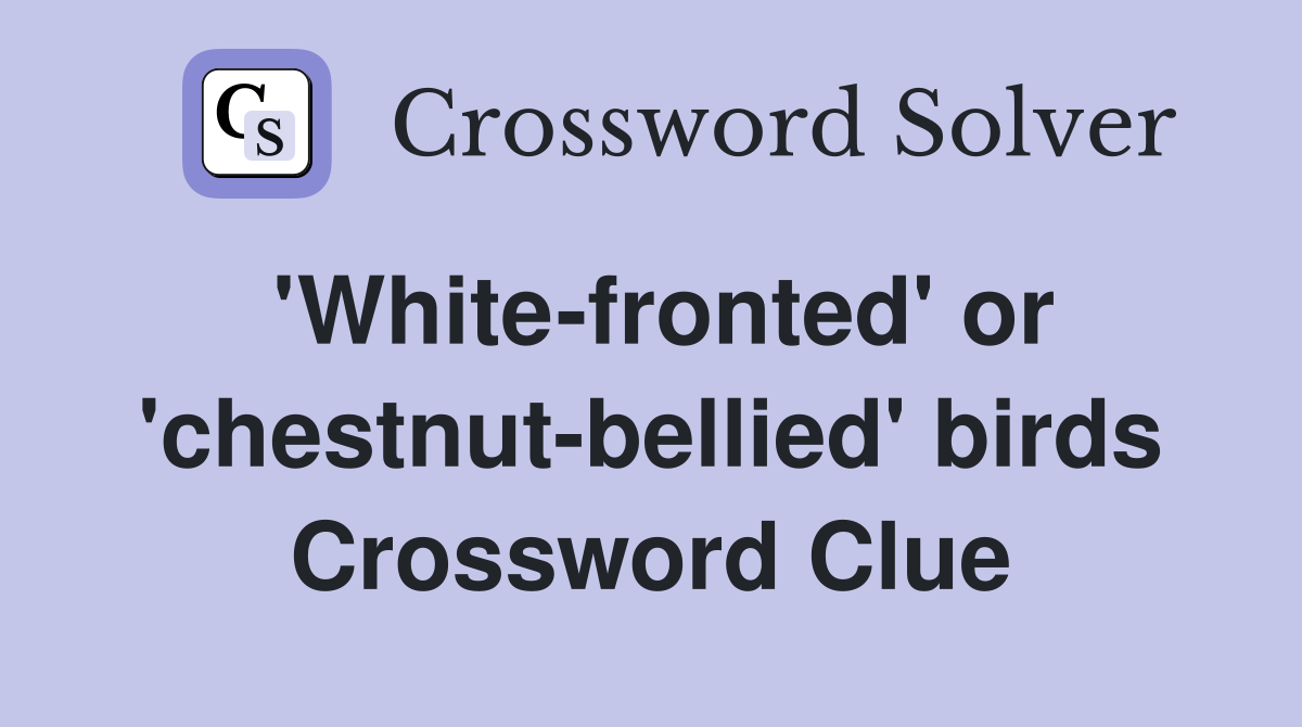 'White-fronted' or 'chestnut-bellied' birds Crossword Clue