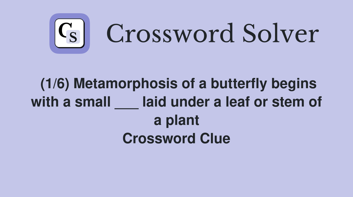 (1/6) Metamorphosis of a butterfly begins with a small ___ laid under a leaf or stem of a plant Crossword Clue