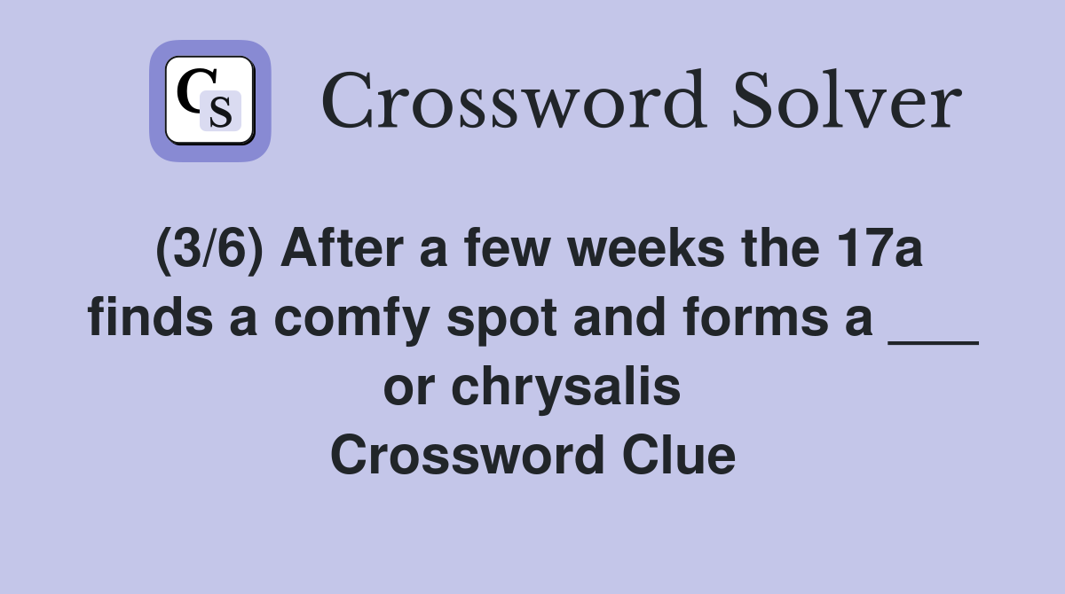 (3/6) After a few weeks the 17a finds a comfy spot and forms a ___ or chrysalis Crossword Clue