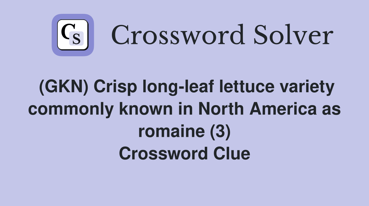 (GKN) Crisp long-leaf lettuce variety commonly known in North America as romaine (3) Crossword Clue