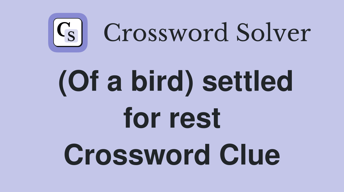 (Of a bird) settled for rest Crossword Clue