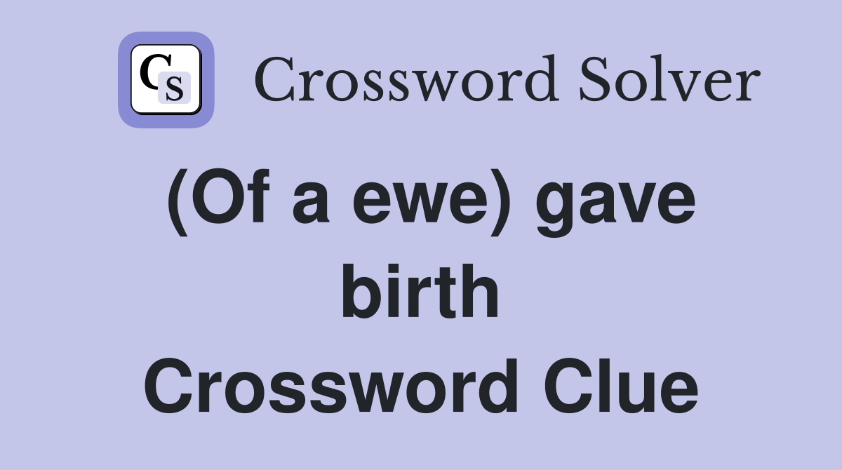 (Of a ewe) gave birth Crossword Clue