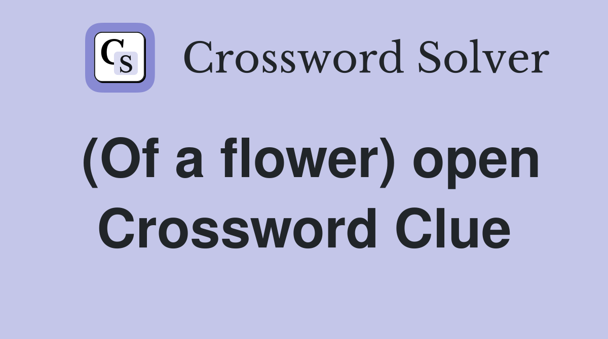 (Of a flower) open Crossword Clue
