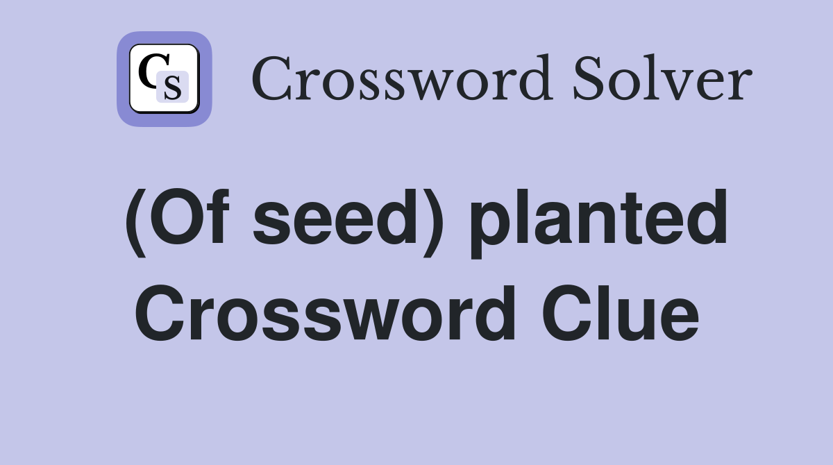 (Of seed) planted Crossword Clue