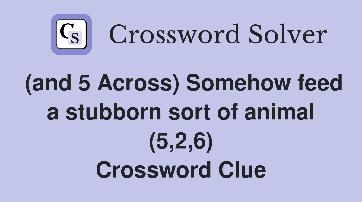 (and 5 Across) Somehow feed a stubborn sort of animal (5,2,6) Crossword Clue