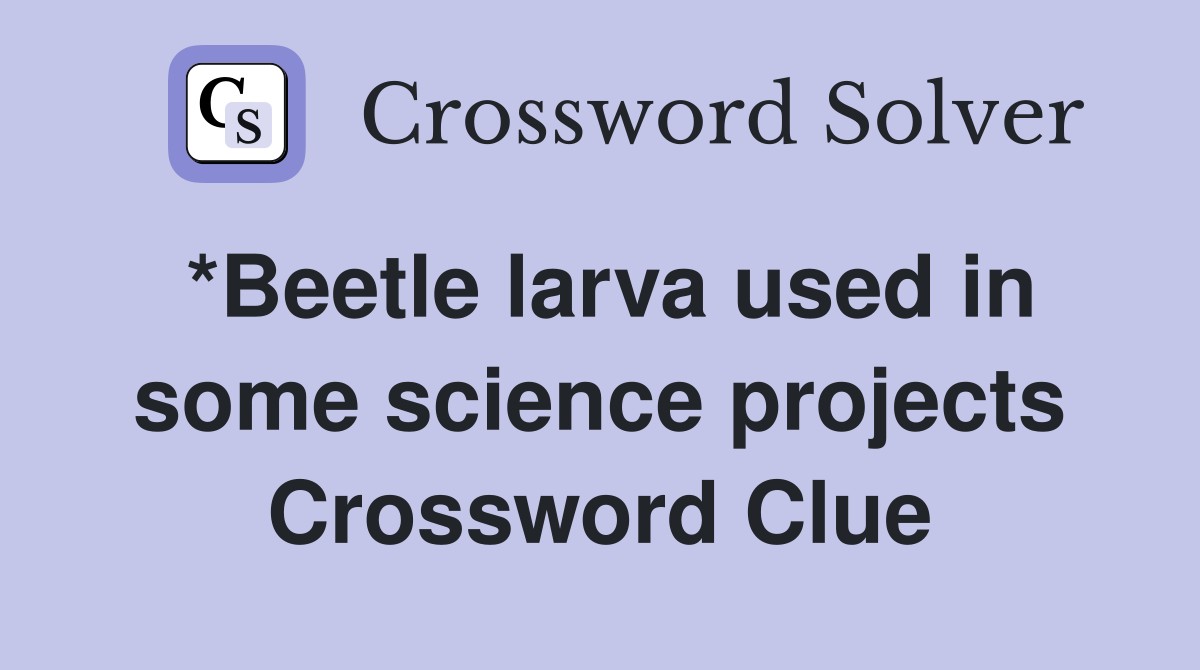 *Beetle larva used in some science projects Crossword Clue