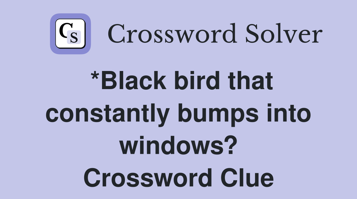 *Black bird that constantly bumps into windows? Crossword Clue