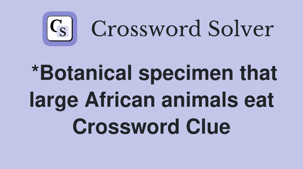 *Botanical specimen that large African animals eat Crossword Clue