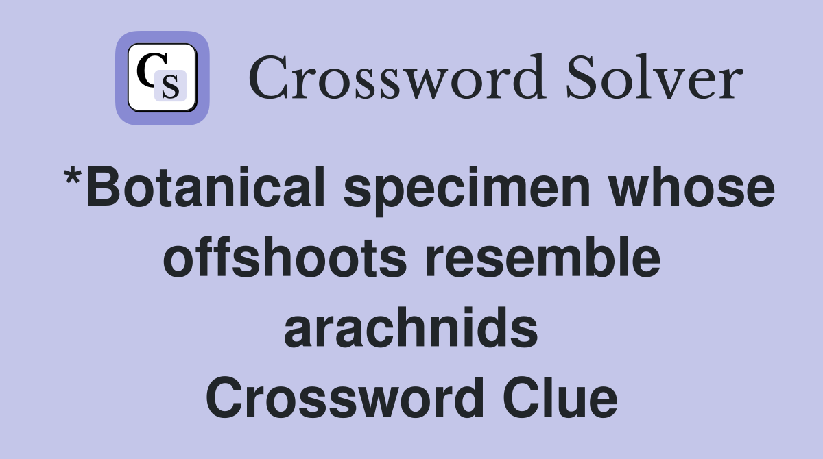 *Botanical specimen whose offshoots resemble arachnids Crossword Clue