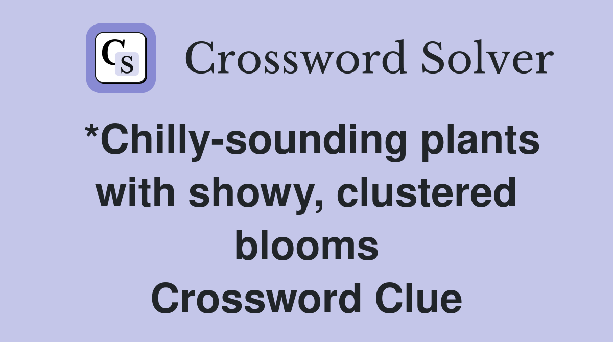 *Chilly-sounding plants with showy, clustered blooms Crossword Clue