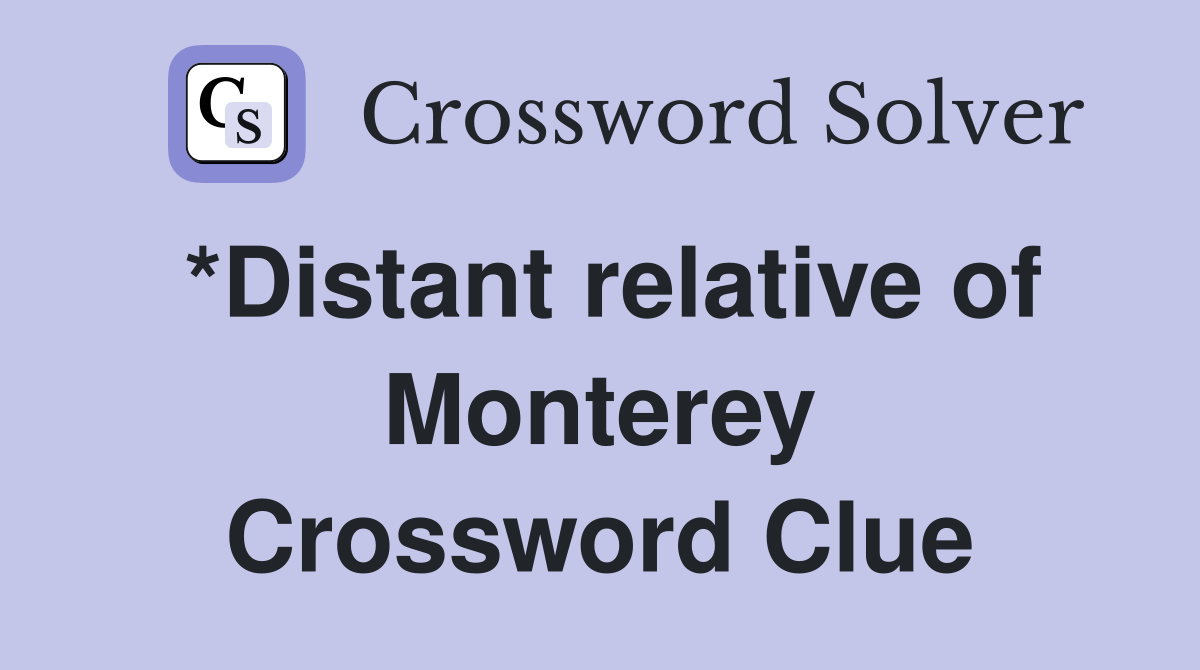 *Distant relative of Monterey Crossword Clue