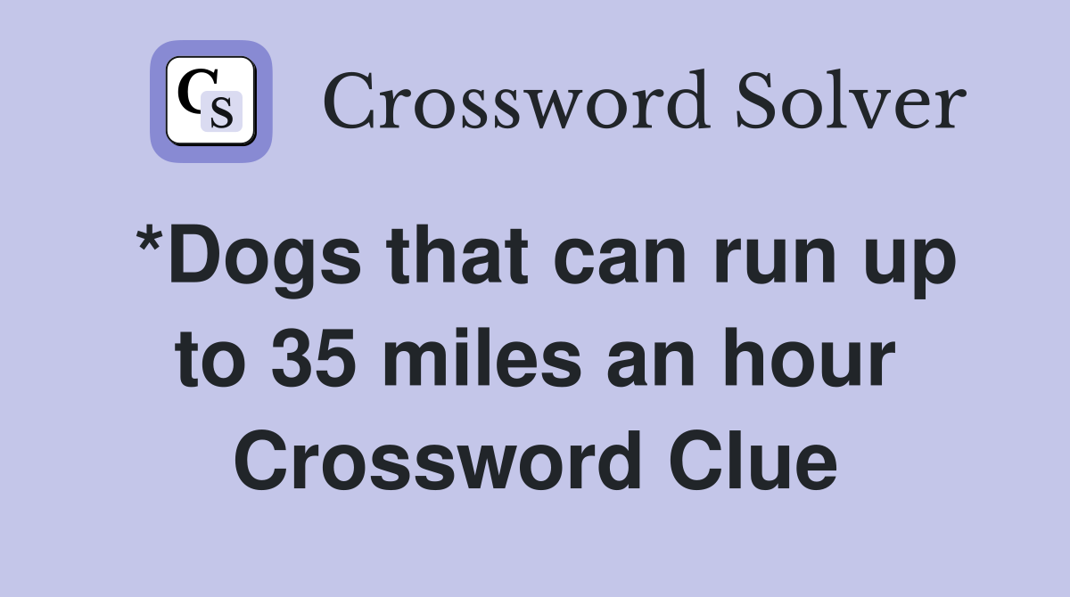 *Dogs that can run up to 35 miles an hour Crossword Clue