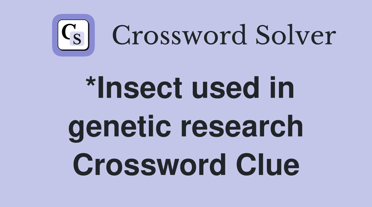 *Insect used in genetic research Crossword Clue