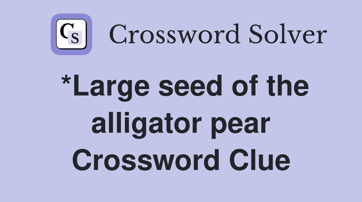 *Large seed of the alligator pear Crossword Clue