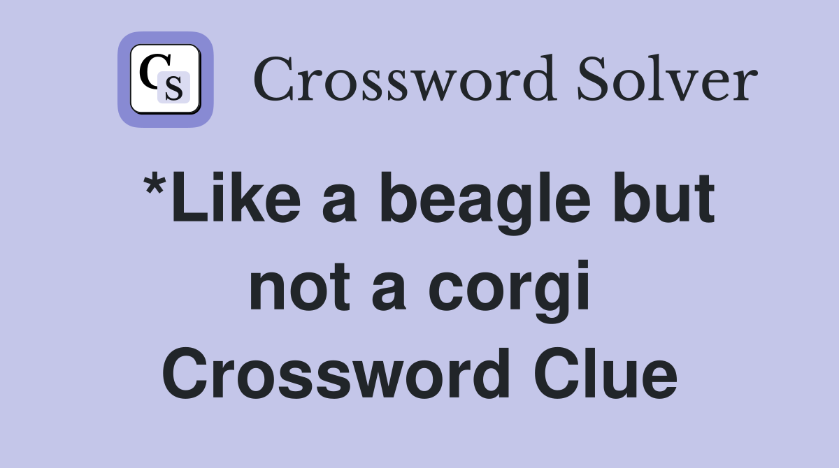 *Like a beagle but not a corgi Crossword Clue