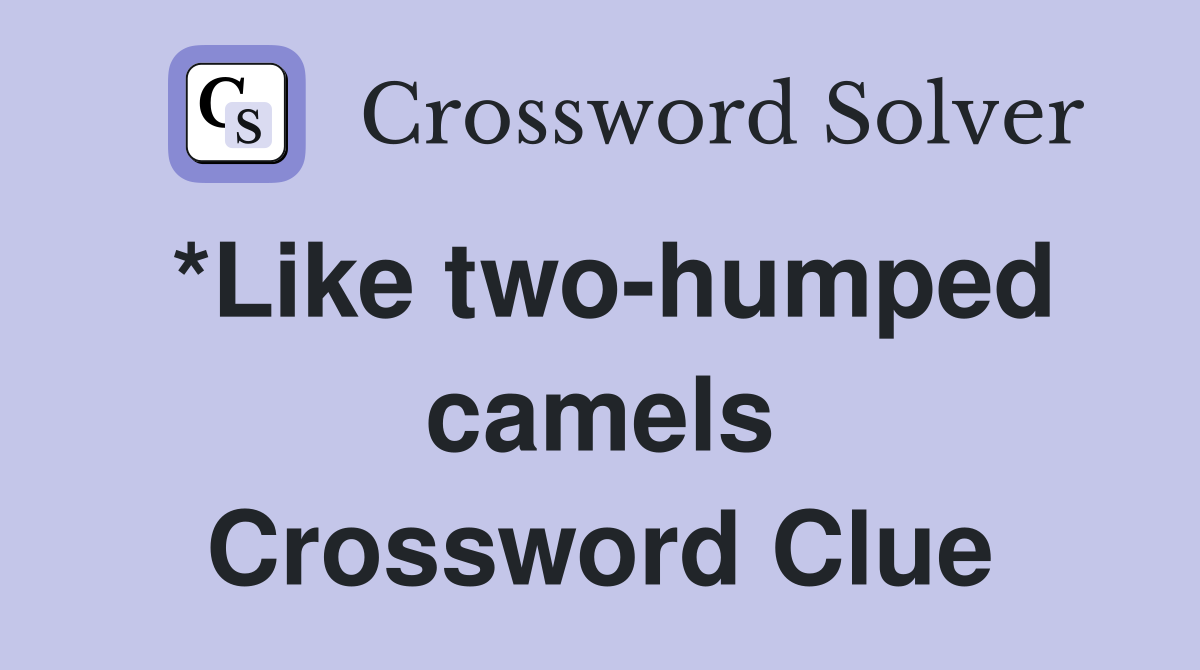 *Like two-humped camels Crossword Clue