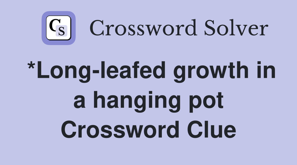 *Long-leafed growth in a hanging pot Crossword Clue