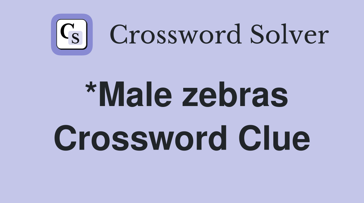*Male zebras Crossword Clue