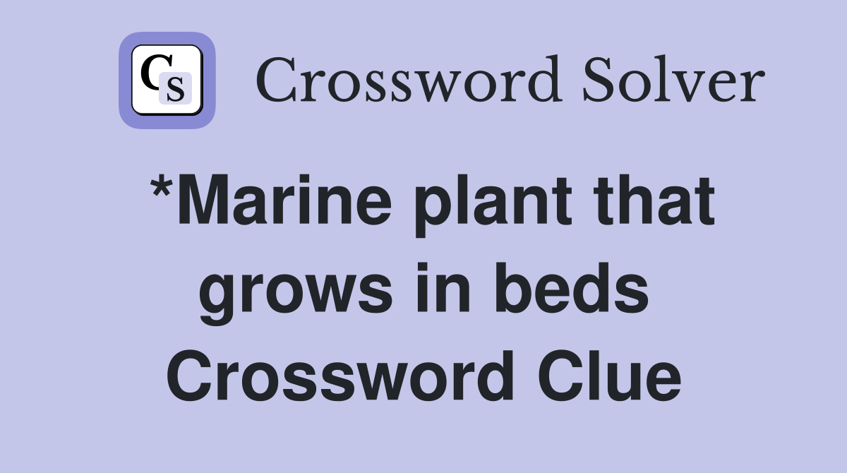 *Marine plant that grows in beds Crossword Clue