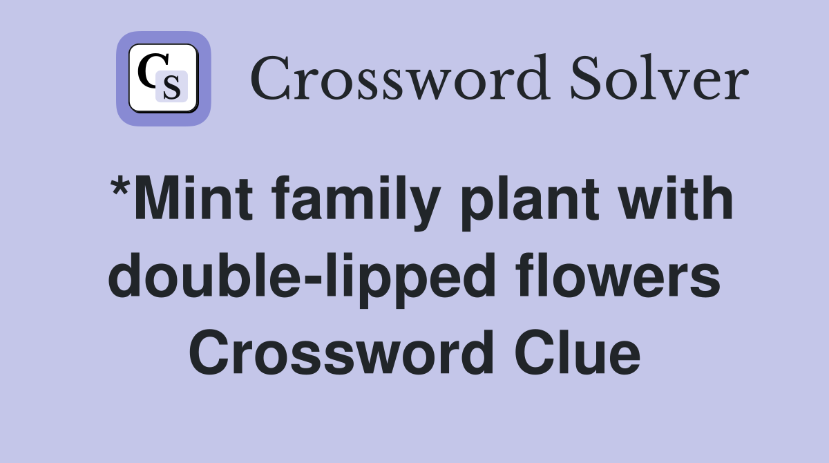 *Mint family plant with double-lipped flowers Crossword Clue