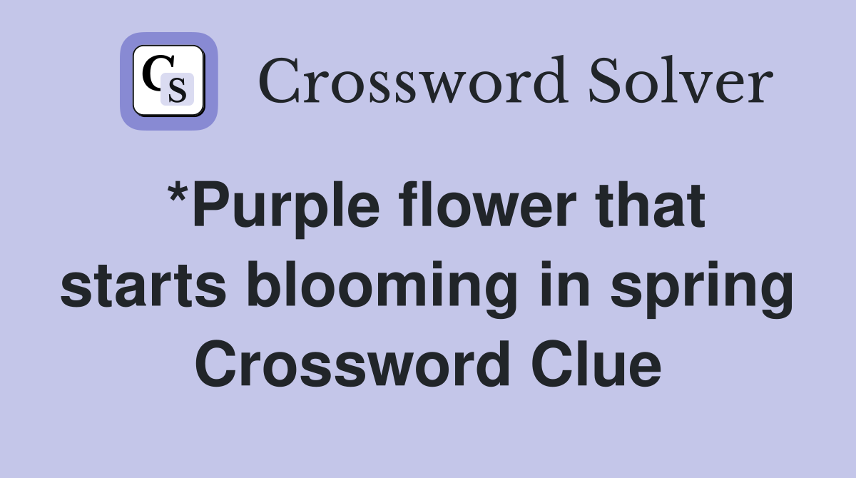 *Purple flower that starts blooming in spring Crossword Clue