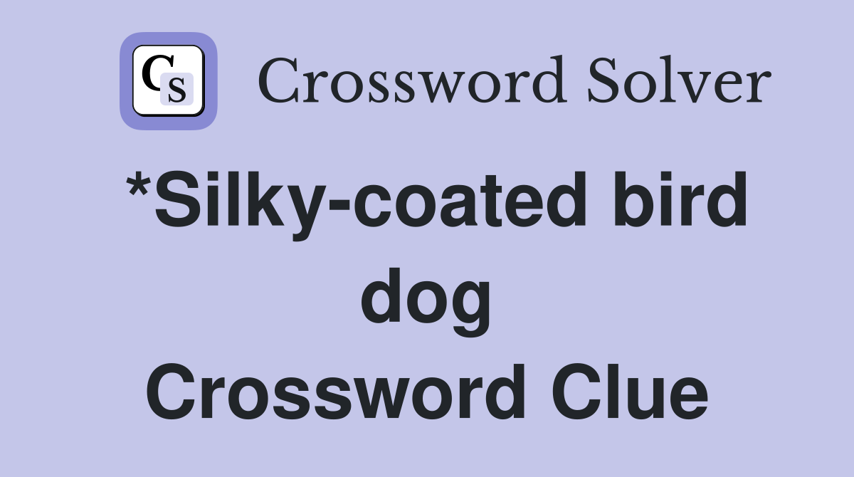 *Silky-coated bird dog Crossword Clue