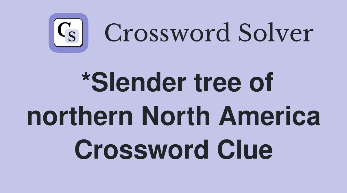 *Slender tree of northern North America Crossword Clue