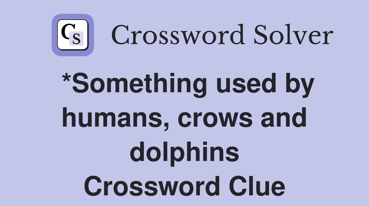 *Something used by humans, crows and dolphins Crossword Clue