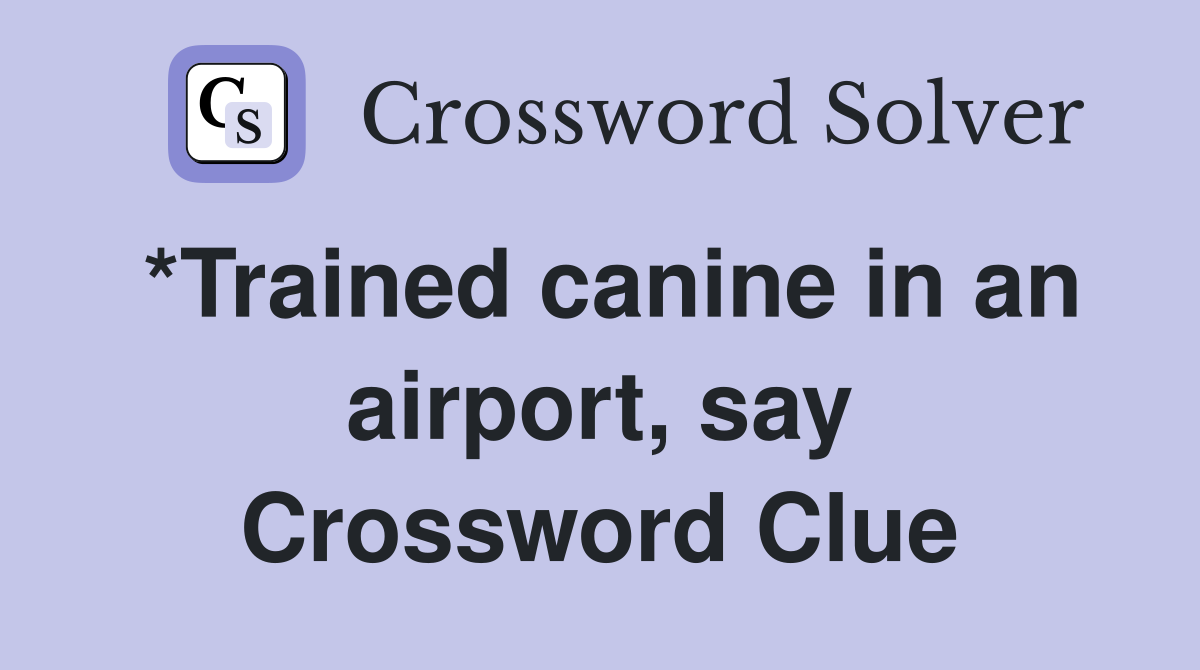 *Trained canine in an airport, say Crossword Clue
