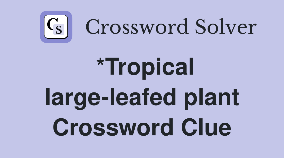 *Tropical large-leafed plant Crossword Clue