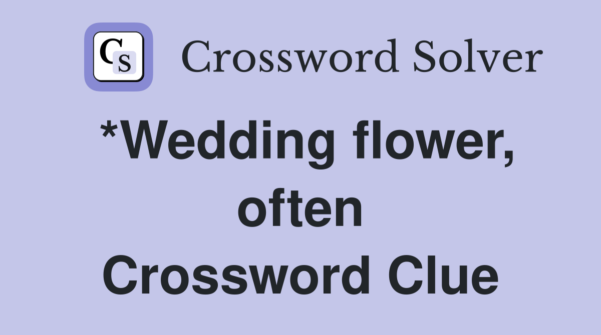 *Wedding flower, often Crossword Clue