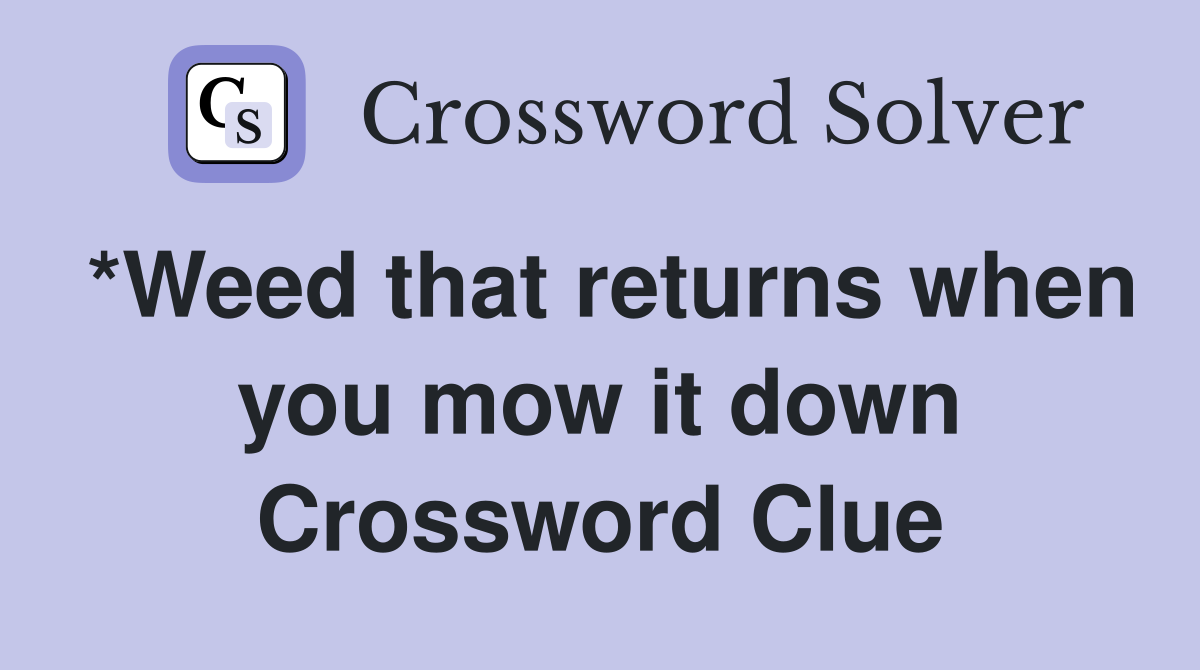 *Weed that returns when you mow it down Crossword Clue