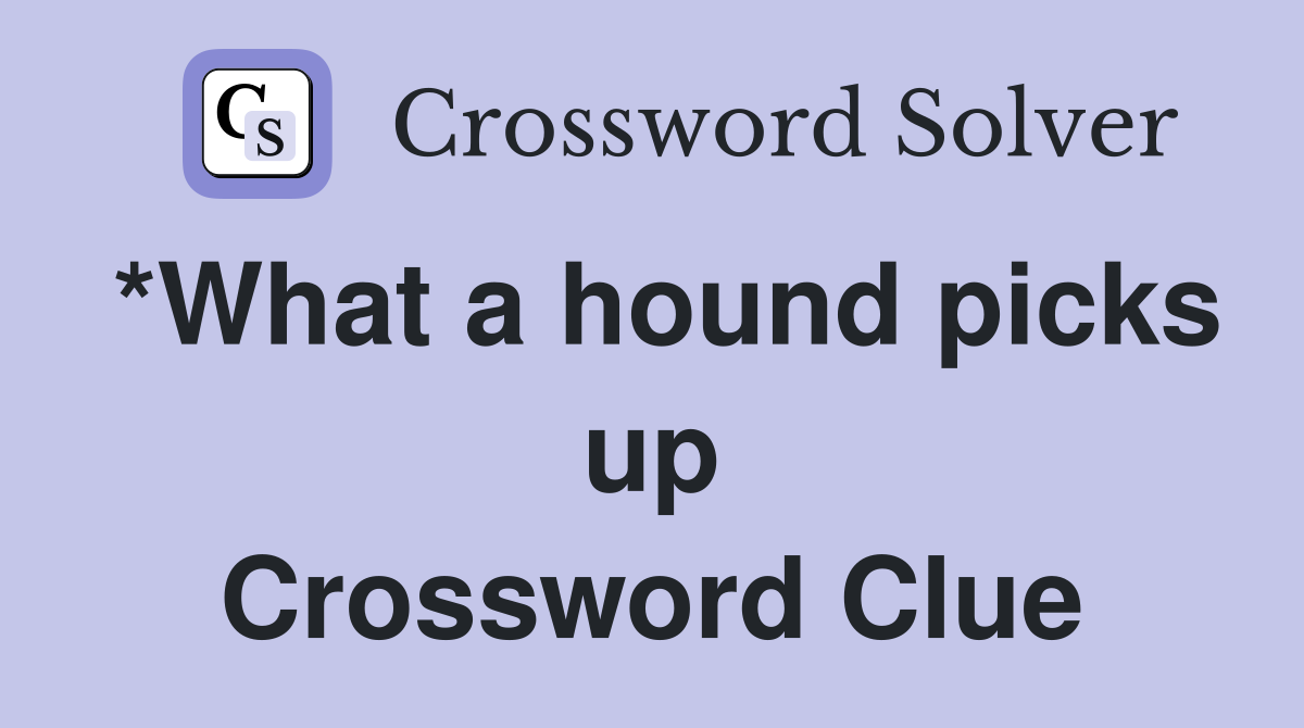 *What a hound picks up Crossword Clue