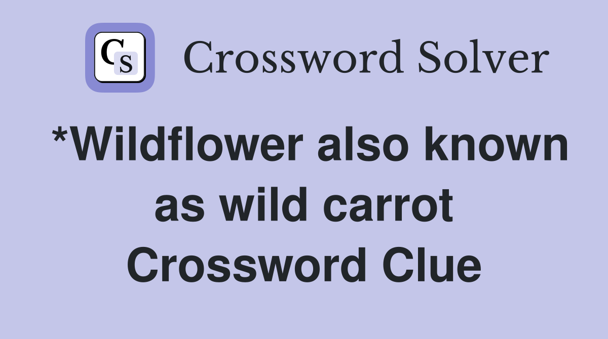 *Wildflower also known as wild carrot Crossword Clue