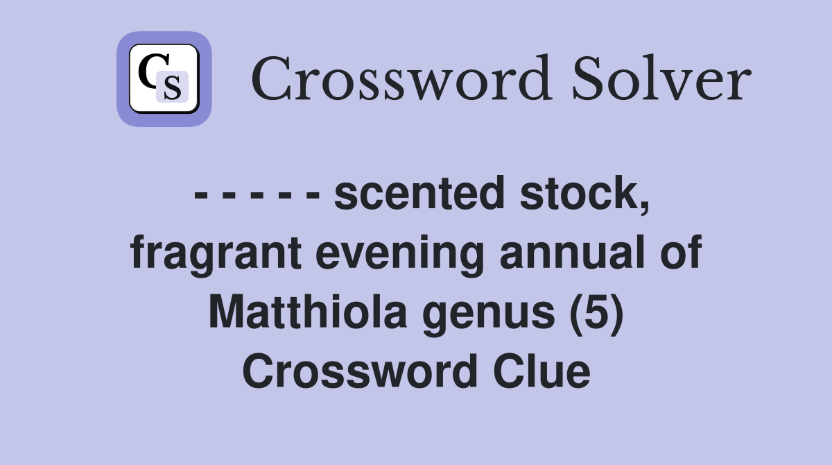 - - - - - scented stock, fragrant evening annual of Matthiola genus (5) Crossword Clue