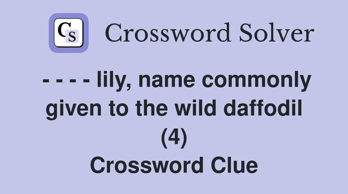 - - - - lily, name commonly given to the wild daffodil (4) Crossword Clue