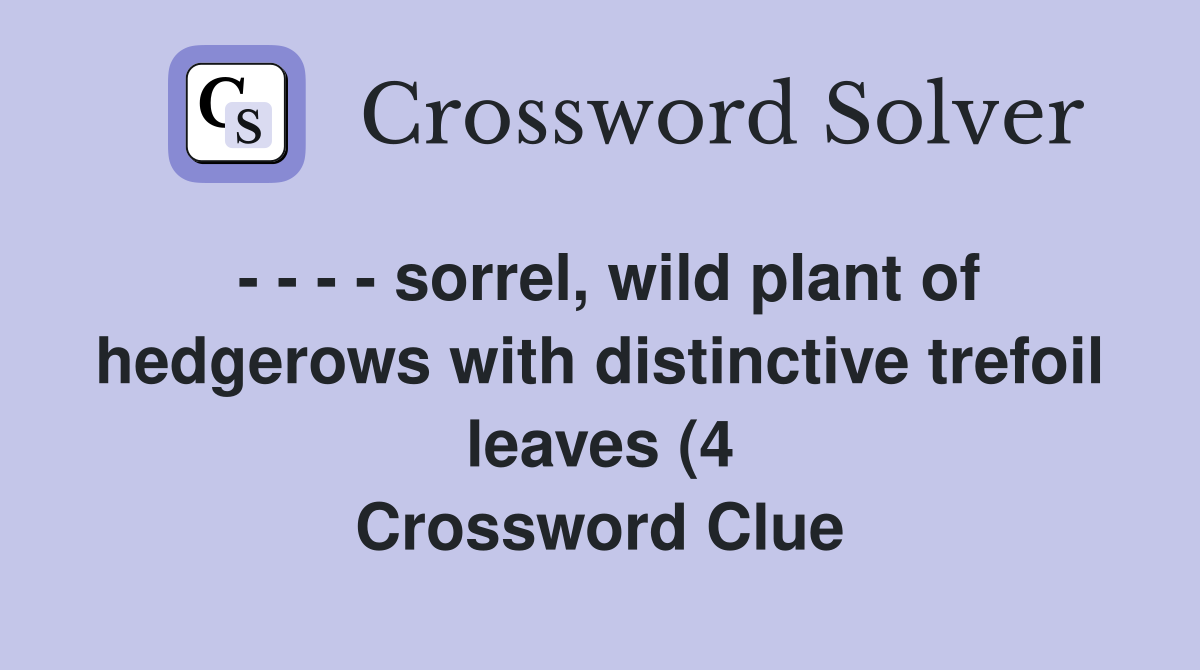 sorrel wild plant of hedgerows with distinctive trefoil leaves (4 sorrel wild plant of hedgerows with distinctive trefoil leaves (4