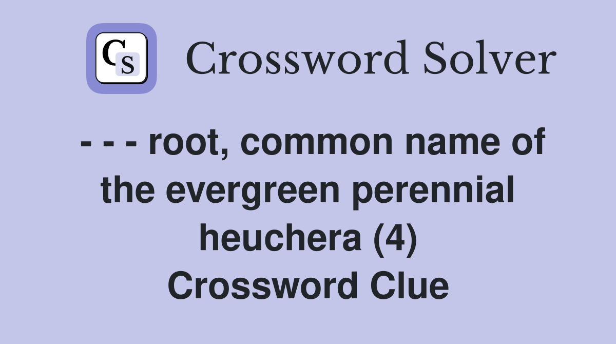 - - - root, common name of the evergreen perennial heuchera (4) Crossword Clue